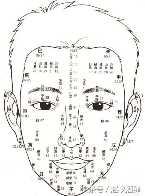 流年面相年齡|面相流年圖解,看穿你一生運勢